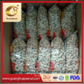 New Crop Roasted Peanut in Shell Exporting Quality From China